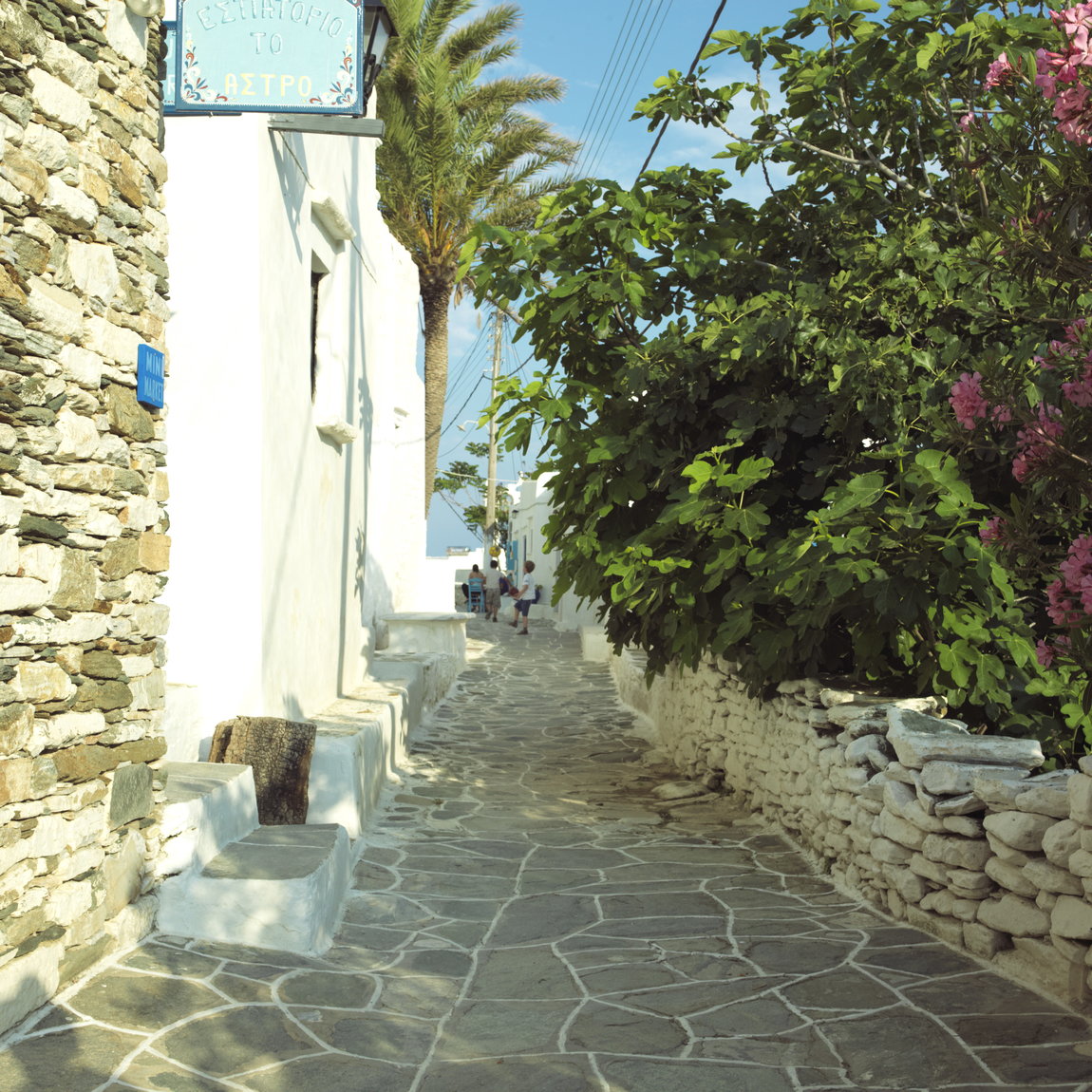 Nance Sifnos 0307